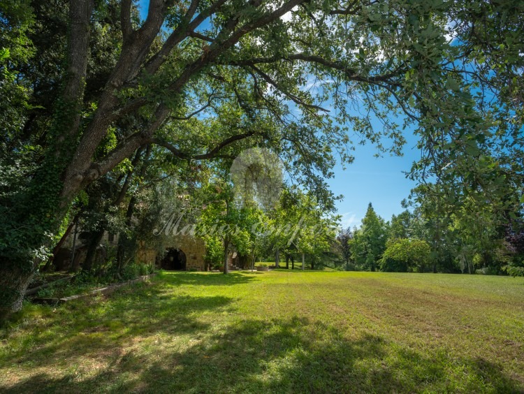 View of the garden 