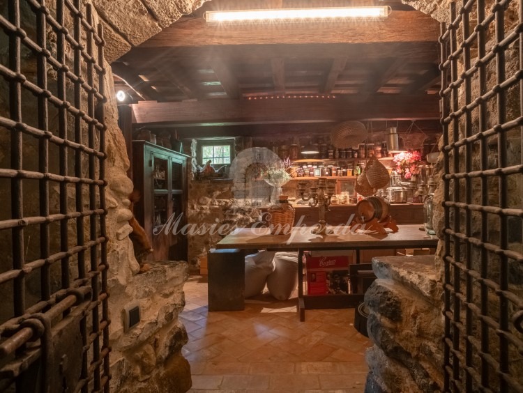 Cellar