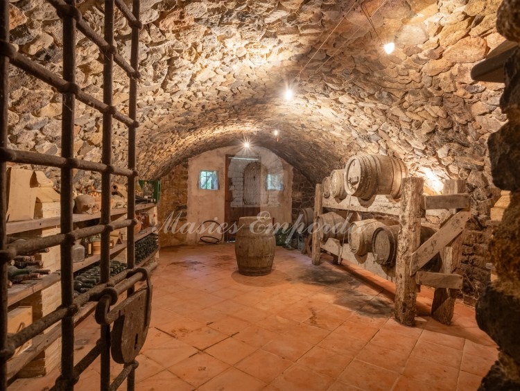 Cellar