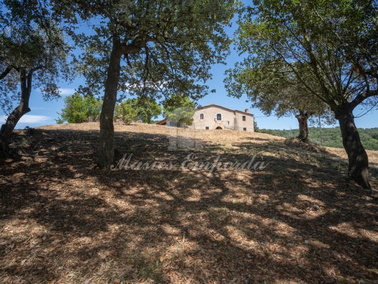 Views of the farmhouse