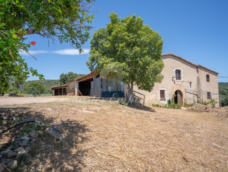 Views of the farmhouse