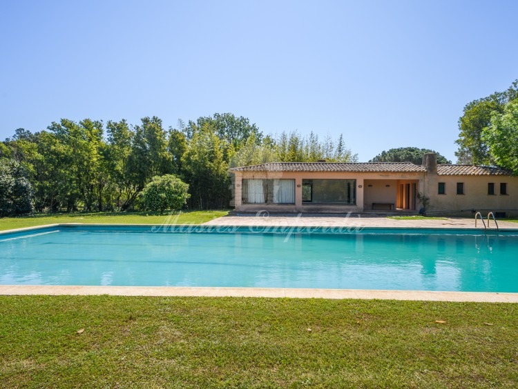 Views of the pool area with the pavilion in the background