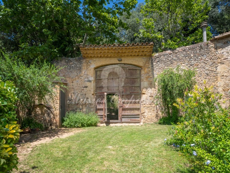 Garden door leading to the Santiago pine grove