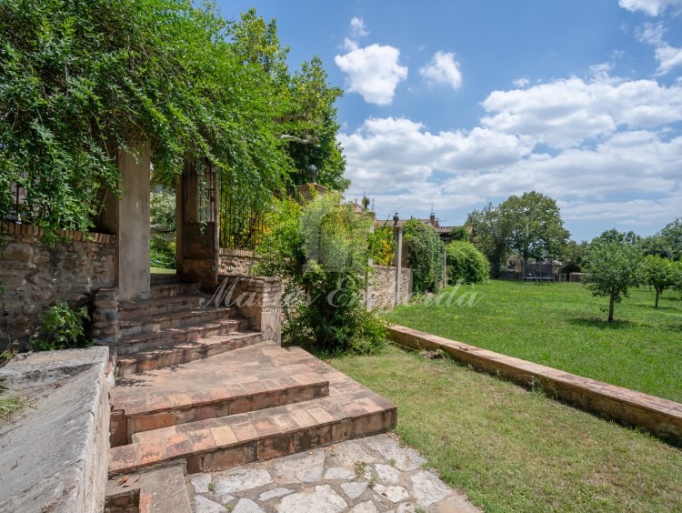 Access to the swimming pool from the garden 