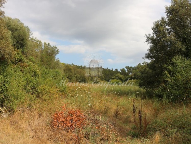 Views of the fields