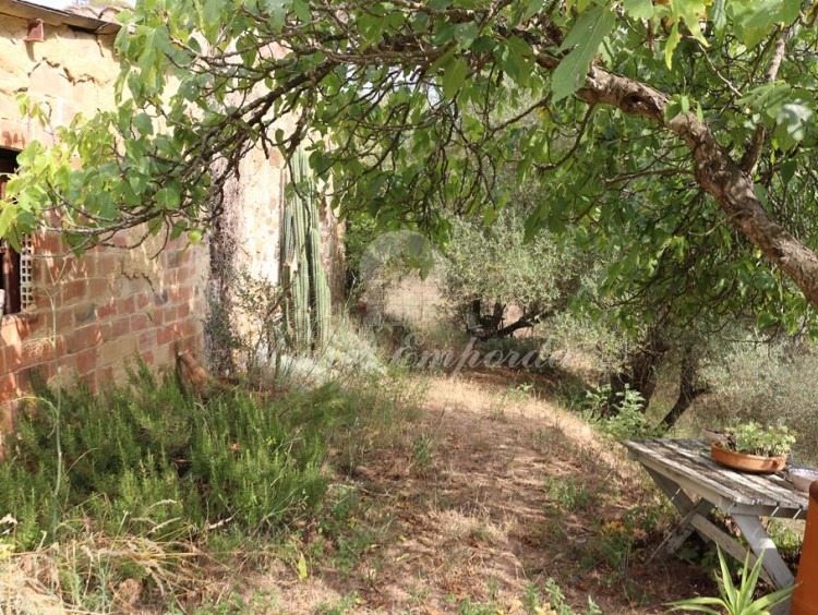 Side façade of the farmhouse