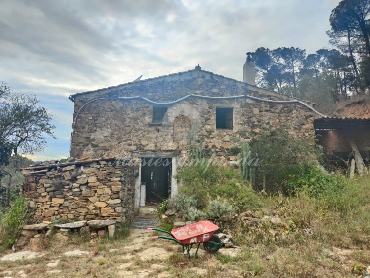 Façade of the farmhouse 