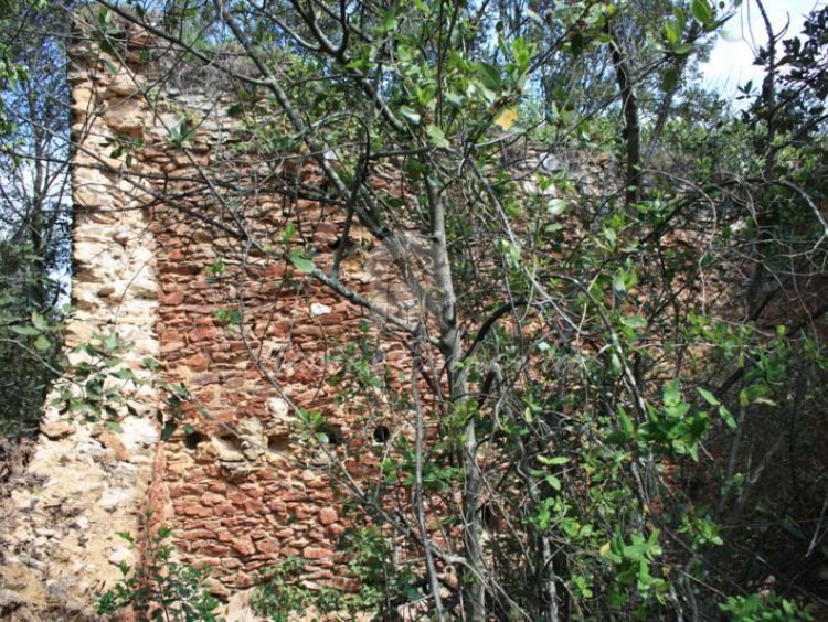 Detalle de una construccion anexos de la masía 